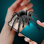 Spider on My Hand Joke Apk Mod 1.9 Unlimited Money Spider on My Hand Joke Apk Mod 1.9 Unlimited Money